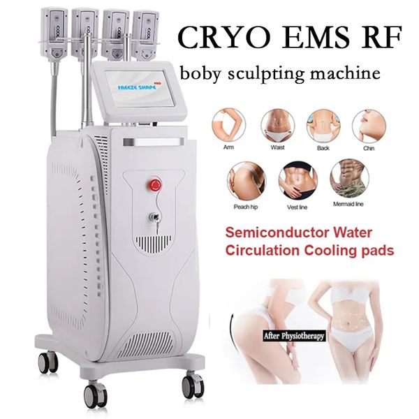 Cryo EMS RF Boby Sculpting Machine не Vacuum EMS Cryo Plate Fat снижает замораживание потери веса для салона красоты для салона красоты