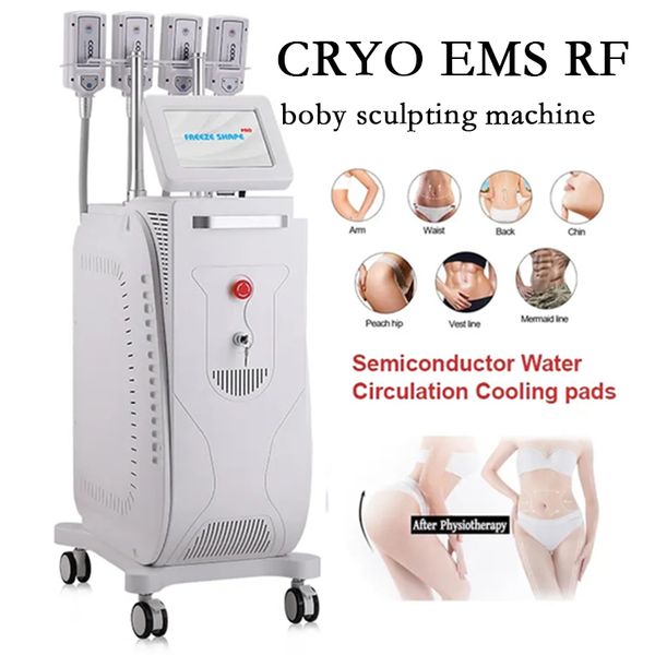 Escultura de gelo Slimming Cryolipólise Machine crioterapia Cryo EMS RF Cool Body Sculpting Equipamento Redução de gordura Redução de gordura Drenendo 8 alças para uso de salão de beleza