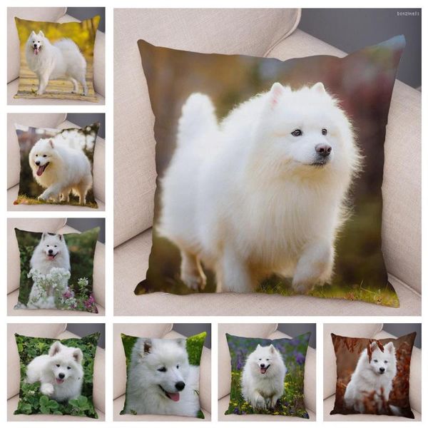 Travesseiro 50 estilo estilo fofo cachorro branco samoied capa decoração adorável animal de animais de estimação travesseiro macio de pelúcia para sofá quarto quarto