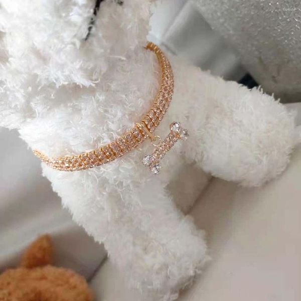 Collari per cani di alta qualità con tre strass drenanti a catena con pendente per cucciolo di gatto Collana con collare in zirconi con diamanti lucidi