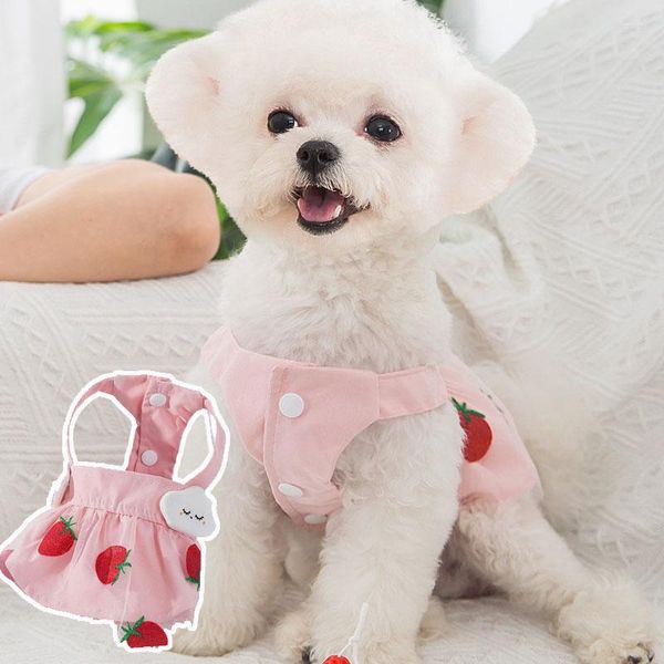 Abbigliamento per cani Abiti da principessa fragola Vestiti dolci per cani di piccola taglia Abito da compleanno Cucciolo carino Teddy Bichon Drop