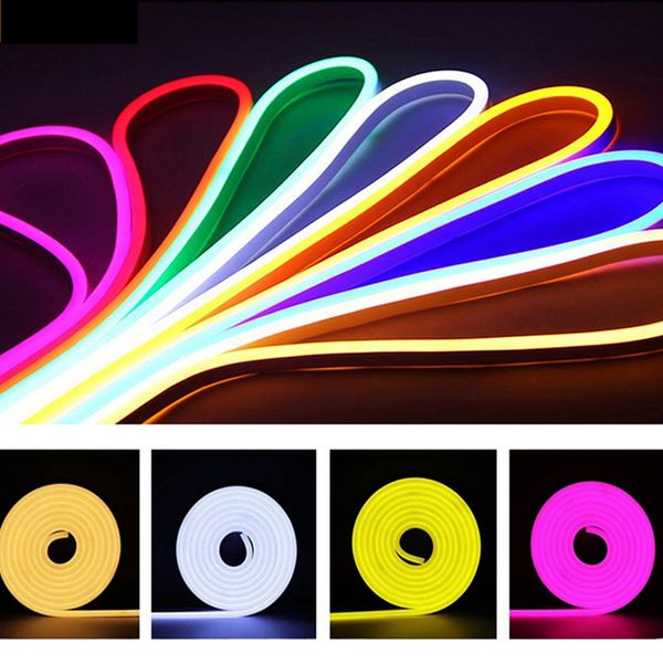 12 V Neon-Lichterkette, LED-Lichterketten, Silikon, 4,9 m, mehrfarbig, dimmbar, Silikone, IP65, wasserdicht, für Partys, DIY, Innen- und Außendekorationen (warmweiß), OEMLED