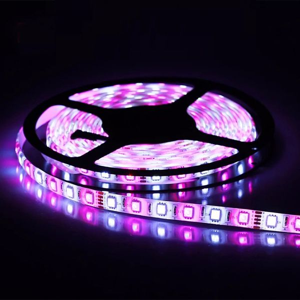 Tira de luces LED DC12V SMD5050 RGBW RGBWW Flexible 300LEDs 5M Rollo PCB Bar KTV Computadora Escritorio TV Decoración de fondo para boda Fiesta Vacaciones Iluminación exterior Ahora