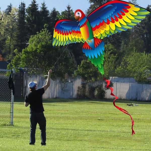 Uçurtmalar Fantastik 3D Parrot Uçurtma Tek Çizgi Uçurtma Kuyruklu ve Çocuk Klasik Açık Hava Sporu 230213