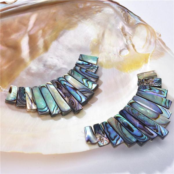 Charms Natural Zealand Abalone Shells 13Pcs Stick Beads Pendenti Set Multicolor Paua Shell Ciondolo Creazione di gioielli Accessori A127Charms