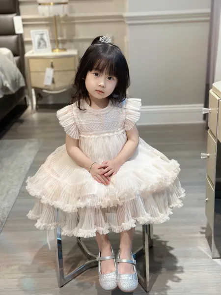 Crianças Meninas Vestidos de Casamento Bebê Menina Vestido de Bolo com Estampa de Renda Moda Infantil Festa Tutu Roupa Rosa