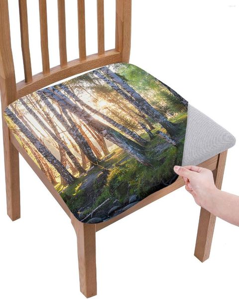 Sandalye, Birch Orman Ormanları Sabah Erken Koltuk Yastık Streç Yemek Kapağı Slipcovers Ev El Ziyafet Oturma Odası
