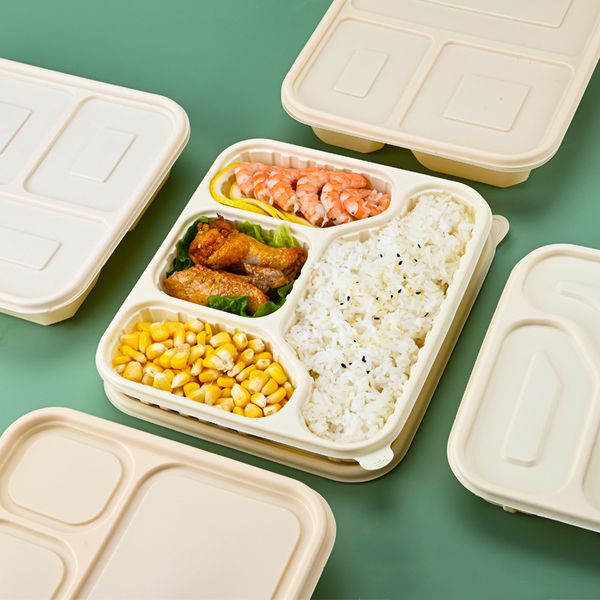 Einweggeschirr zum Mitnehmen, Verpackungsbox aus abbaubarem Material, Multi-Gitter-Fast-Food-Box im Großhandel