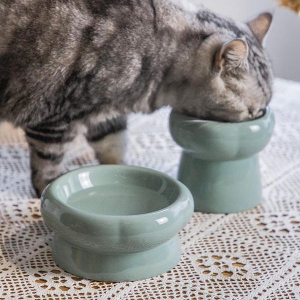 Cat Bowls Alimentadores de tigela cerâmica Cão de cachorro alimentador de cachorros alimentação e ingestão de água alimentar elevada levantar produtos para gatos suprimentos para animais de estimação acessórios