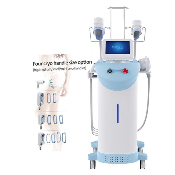 Vela Body Shape Cryolipolysis Macchina dimagrante macchina di bellezza terapia laser riduzione del grasso 40khz cavitazione vela vuoto lifting facciale strumento per salone di bellezza