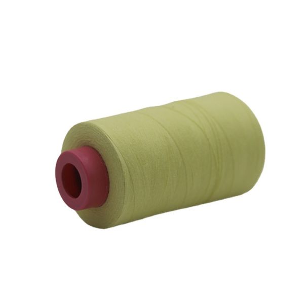 Linea in fibra aramidica per cucire Resistente al taglio Filo ignifugo ignifugo Kevlar Filo per alte temperature 100 grammi