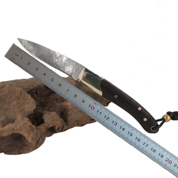 1 pz H2374 lama pieghevole coltello da frutta 67 strati VG10 lama in acciaio di damasco ebano con manico in ottone campeggio esterno escursionismo coltelli tascabili EDC