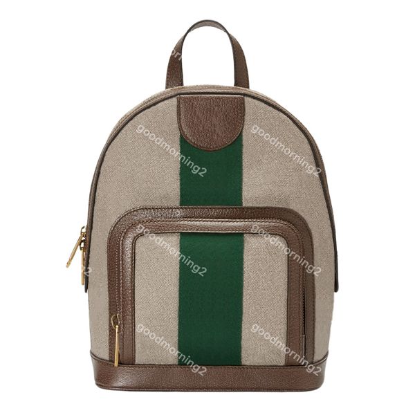 Дизайнерский рюкзак роскошный бренд кошелек двойной плеч