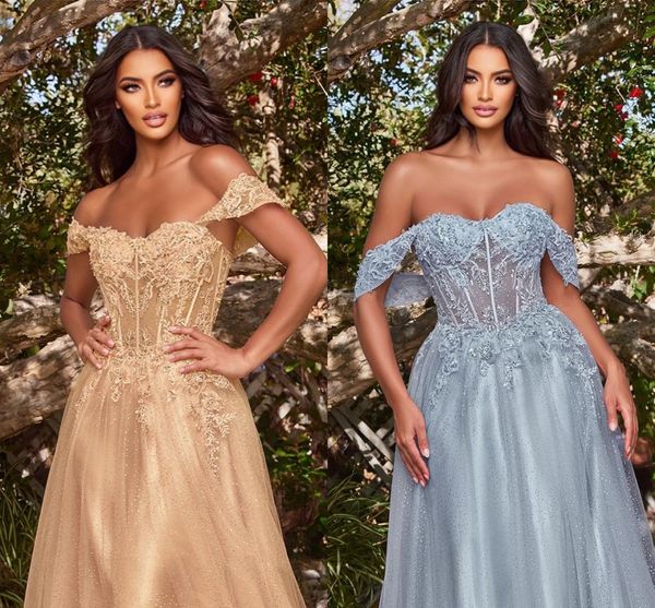 Glamorous Plus Size A Line Vestidos de Noite Querida Tule com Lantejoulas Aplique Sweetheart Até o Chão Traje Formal Celebridade Aniversário Ocasião Especial Vestido de Baile