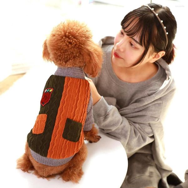 Hundebekleidung Kleidung Warmer Pullover Zwei Fuß Jacken Weiche Kleidung für kleine große Hunde Halloween-Kostüm