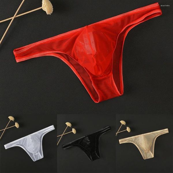UNDUPTS 2023 Seksi Erkekler Mesh Bikini Çantası iç çamaşırı See-Through Boxer Briefs Sheer Nefes Alabilir Şeffaf Erkek iç çamaşırı sissy Panties