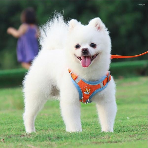 Colarinhos de cachorro chegam tira de peito de estimação tira de colete pequeno corda cães reflexivos de pomerânia bichon frise tração