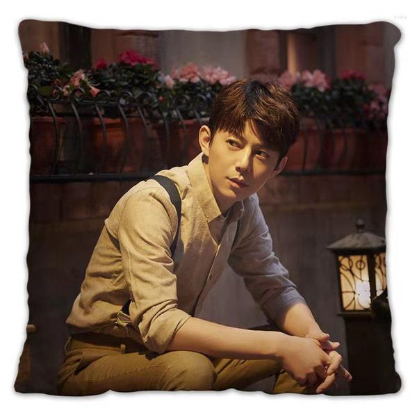 Pillow anfitrião ele Jiong Professor Ho travesseiro bonito Yu Lexuan Mesmo parágrafo Star Po Poster Capa em torno