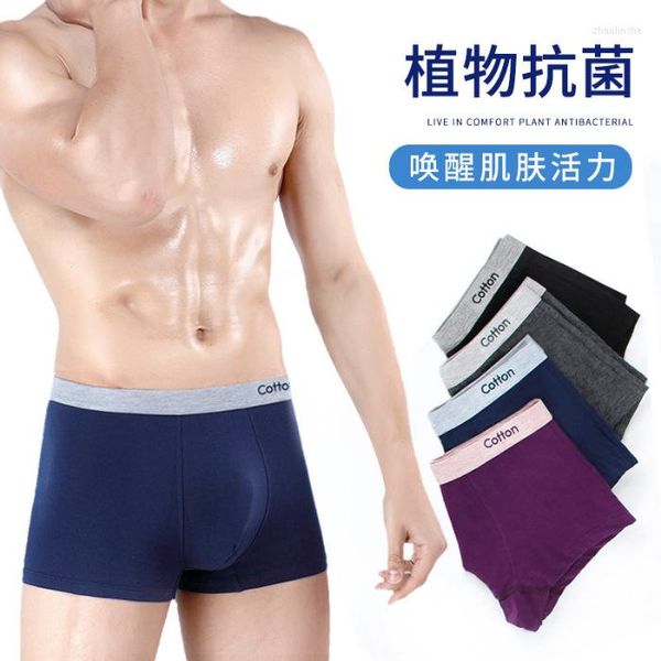 Unterhosen aus reiner Baumwolle, nahtlose Herren-Boxershorts, bedruckte Unterwäsche, gemischte Farben, U-konvex, Großhandel