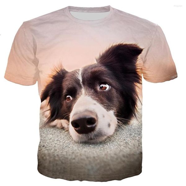 Herren T-Shirts Border Collie Shirt Mann/Frauen 3D bedruckte T-Shirts Casual Harajuku T-Shirt Streetwear Tops