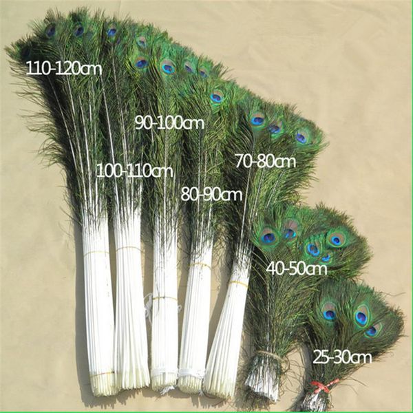 100 peças inteiras de alta qualidade 10 peças lindas naturais reais olhos de cauda de pavão penas tamanho completo 25-100 cm 10-40 polegadas206S