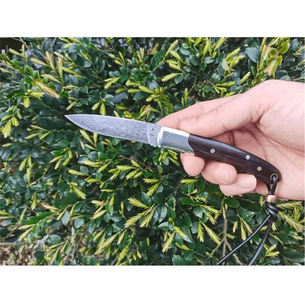 Offerta speciale H2374 Coltello da frutta a lama pieghevole 67 strati VG10 Lama in acciaio Damasco Ebano con manico in ottone Campeggio esterno Escursionismo Coltelli tascabili tascabili EDC