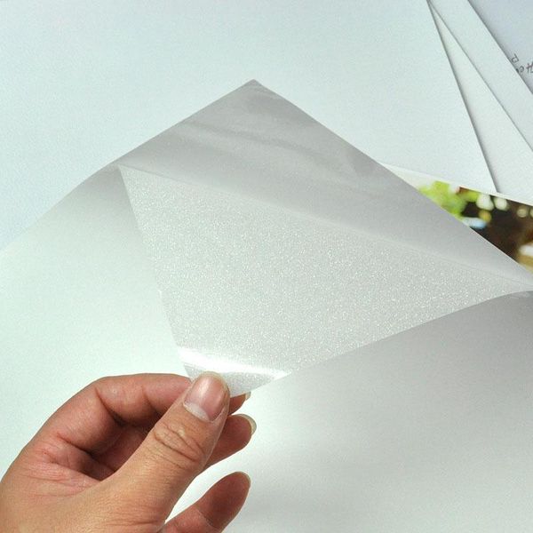 Laminatore 50 fogli / pacchetto A4 Film laminato freddo PVC Film Transparent Film Manuale di preparazione di campioni di preparazione pianta