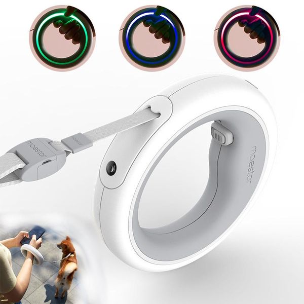 Leashe 2022 Nuovo guinzaglio per cani da 3 m 3M con anello a 3 colori guinzagli retrattili con torcia a LED per accessori per piccoli cani di grandi dimensioni