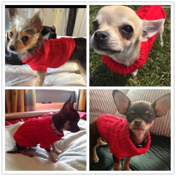 Abbigliamento per cani Maglione lavorato a maglia Abbigliamento XXXXS XXXS XXS Per micro cucciolo YORKIE Maltese Chihuahua