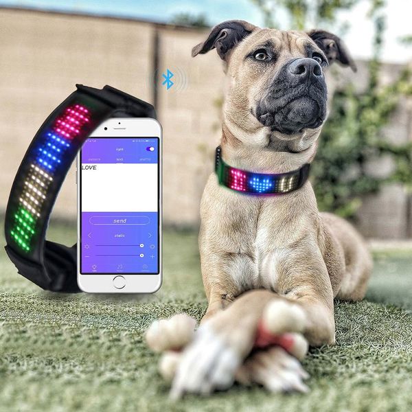 Coleira de cachorro com tela led, controle por aplicativo, arnês para animais de estimação, suprimentos de segurança, piscante luminoso brilhante para coleiras noturnas perro