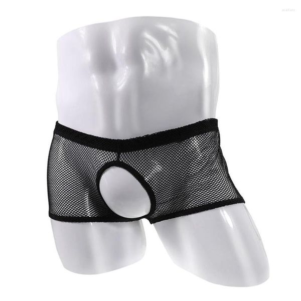 Cueca boxer aberta na virilha masculina Malha transparente Roupa íntima pornô Calções de nádegas expostas do pênis