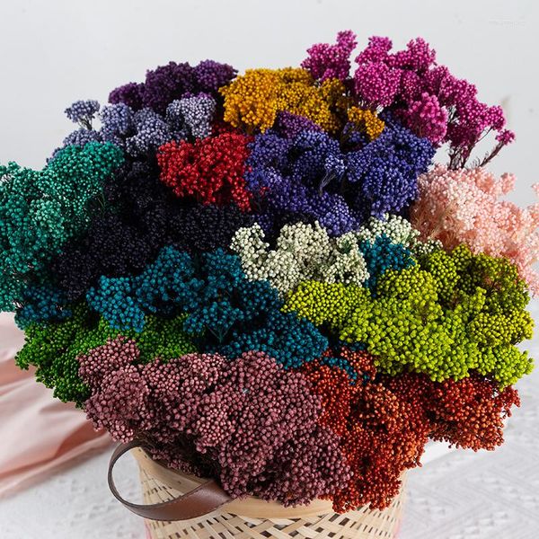 Flores decorativas naturais secas preservadas frescas imortais painço eterno arroz buquê de flores decoração de festa de casamento decoração de quarto para casa