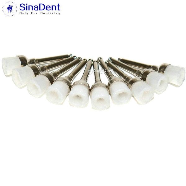 Lieferungen 100pcs Dental Nylon Polierbürsten Schüssel Form Dentalprophybürste Prophylaxe Pinsel für Kontraangle RA Shank Transparen