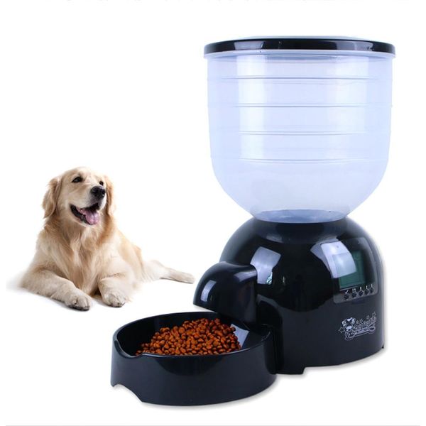 Alimentação alimentadora de cães de estimação automática 11L Bowl Bowl Bowl Bowl para gatos cães cães de voz programável