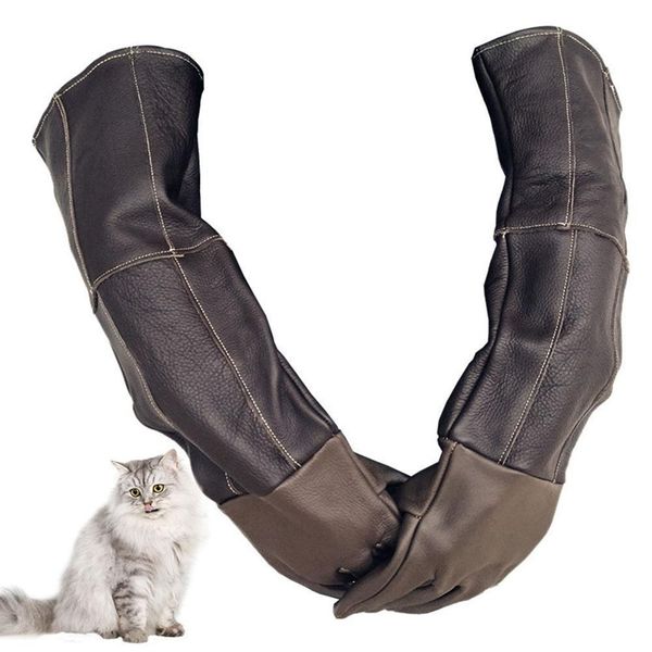 Le scarpe addensano lunghi guanti di bestiame a prova di scratch per la stazione di salvataggio del gatto per cani da compagnia