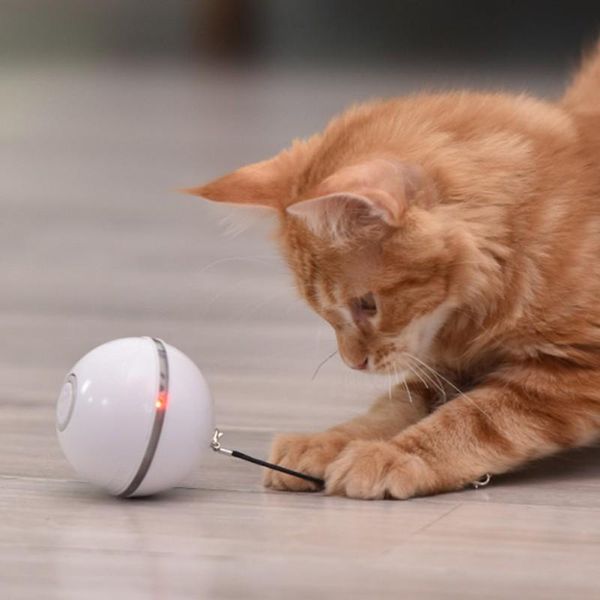 Игрушка игрушки Electric Electric Pet Ball Красочная игрушка с помощью котажного шарика для кошки с пером USB.