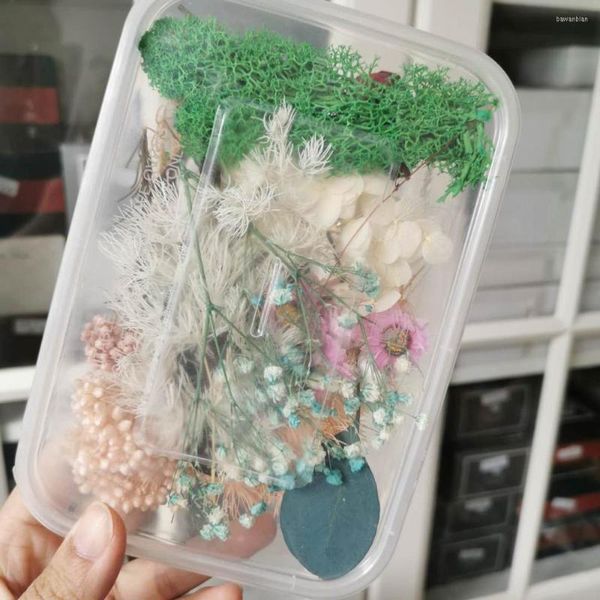 Dekorative Blumen 1-2 Boxen Gemischte ewige getrocknete Blumenmaterialien Rosenhortensie für DIY Hochzeitseinladung Geschenkkarte Duftkerze