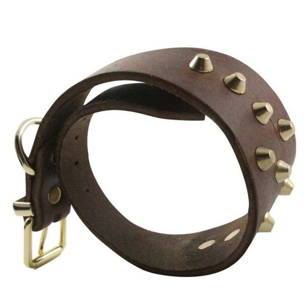 Colarinho colarinho colarinho de cachorro para animais finos de colar cravejado de jóias para galgo de galgo Espanhol Greyianhound Whippet Whippet Wide Collar