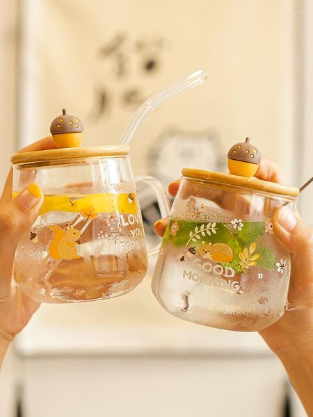 Tazze Bella tazza di vetro con manico in paglia Copri tazza trasparente Cucchiaio Acqua resistente al calore Tè ai fiori per la casa dei bambini