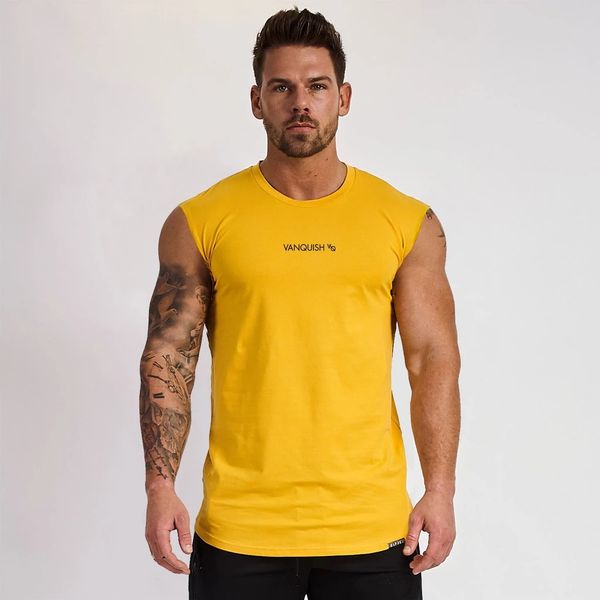 Camiseta masculina masculina de design muscular fitness irmão esportes de verão regata fitness corrida sem mangas roupas de treinamento justas