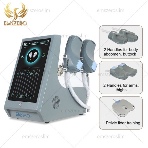 DLS-Emslim 4 Maniglie Dispositivo NEO Macchina HIEMT La più recente stimolazione muscolare Emszero 14 Tesla Bikini Body Ems-Slim Rimozione del grasso dimagrante