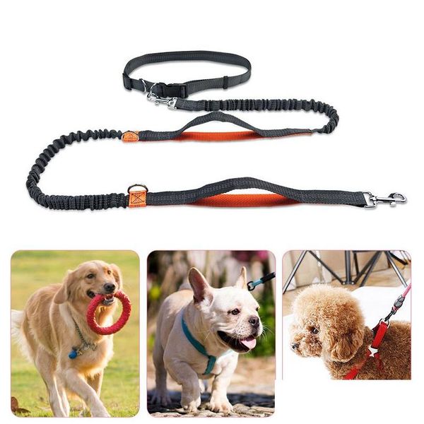 Collari per cani Guinzagli Riflettere la luce Flex Cintura da corsa Mtifunction Walk The Chain Forniture per animali Will And Sandy Drop Delivery Home Dhjv3