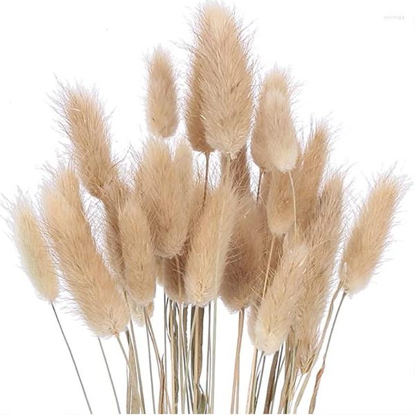 Fiori Decorativi 25 Pz Secchi Nunny Tail Erba Colore Primario Naturale Bouquet Per La Decorazione Domestica Regali Tavola Di Nozze Nero Bianco Flore