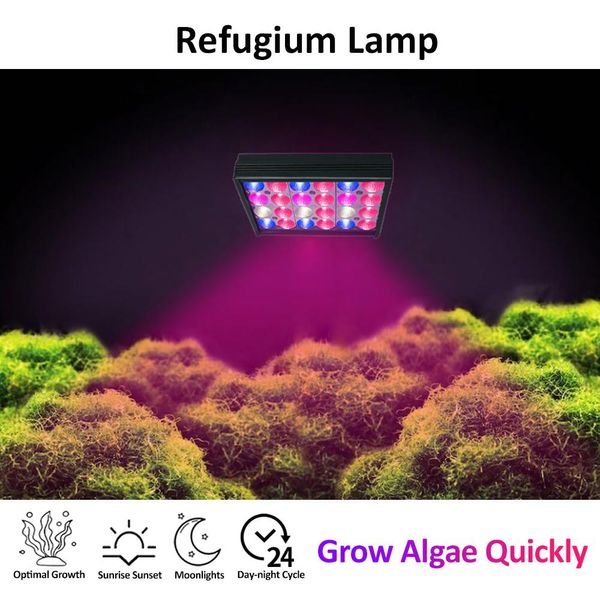 Iluminações popbloom led aquário crescer luz plantas aquário iluminação led lâmpada refúgio iluminação led para filtro de algas/refúgio s16