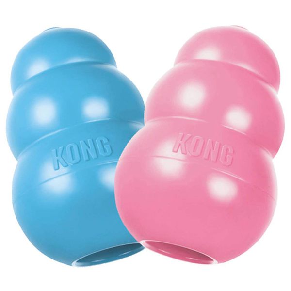 KONG - Borracha Natural para Dentição de Brinquedo para Filhotes - Diversão para Mastigar, Perseguir e Buscar (a Cor Pode Variar)