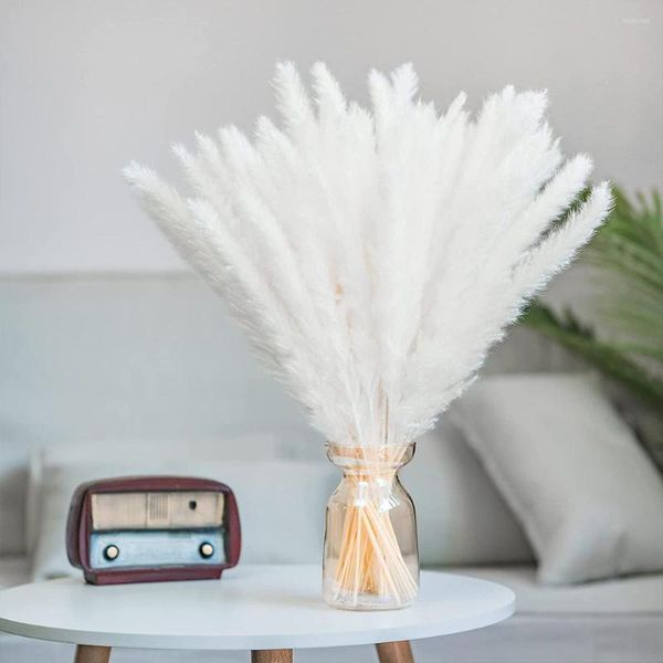 Flores decorativas Pequenas Pampas Secas Naturais Grama Fofa Elegante Hastes Brancas Casa e Escritório Decoração Sustentável Tema Boho Pano de Fundo