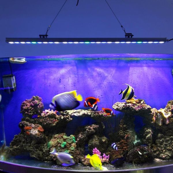 Illuminazione 85 cm Impermeabile Acquario Luce Barriera corallina marina Lampada a strisce LED Nicrew Fish Tank Decor Illuminazione Barra di crescita delle piante acquatiche Luce