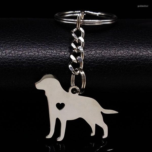 Schlüsselanhänger Tier Hund Edelstahl Schlüsselanhänger für Frauen Zarte Haustiere Pudel Silber Farbe Schmuck Chaveiros K72246S07
