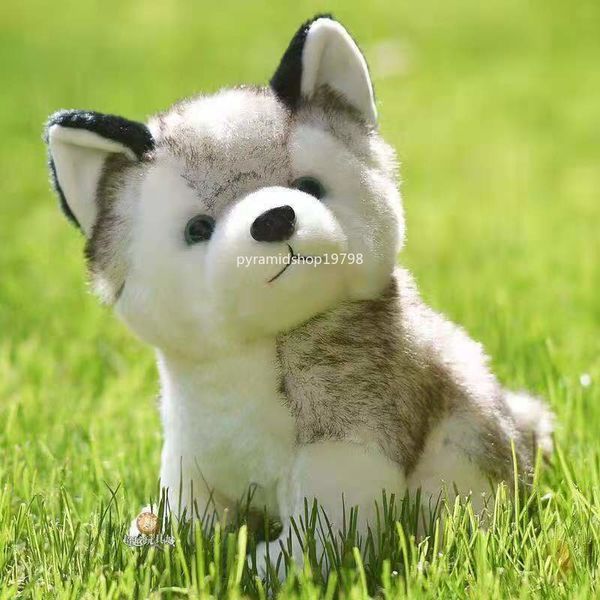20 cm réaliste mignon Husky chien jouets en peluche doux Animal en peluche Kawaii enfants jouets cadeau d'anniversaire pour fille dessin animé moelleux chien jouet