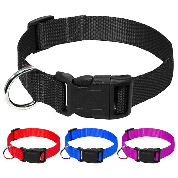 Collari 20 pz/lotto Collare per cani in nylon all'ingrosso Collari per cani regolabili economici per animali domestici di piccola taglia media Gatti Rosso Blu Nero Viola